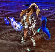 Metin 2 Polska Top eq Woj Całe konto.