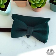 Zestaw zielona mucha męska z poszetką