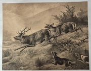 Obraz- Polowanie, uciekająca zwierzyna 1930