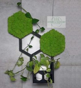 Ozdoba plastry miodu z mchem, kwietnik z mchem