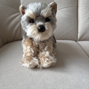 Pies Douglas Yettie Yorkie Yorkshire Terrier Dog Maskotka Pluszak 