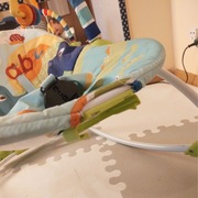 Leżaczek dla niemowlaka firmy Bright Starts