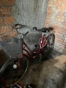 Rower czerwony damka Retro