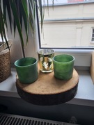 Plaster drewna bukowego podstawka krążek naturalny diy