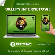 Biznes w Sieci: Tworzymy Sklepy z Pasją!