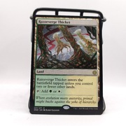 Magic the gathering - Razorverge Thicket - MTG