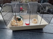 Klatka dla chomika z wyposażeniem