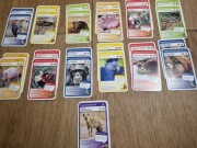 nr7 Karty Super zwierzaki podwójne MEMO/PIOTRUŚ