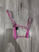 Kantar z motywem bajkowym