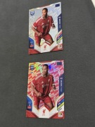 Karty kolekcjonerskie Virgil van Dijk 