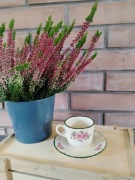 Filiżanka Sygnowana Pagnossin Włochy. Rustykalny wzór