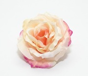 Ekskluzywna Główka Róży–Krem z Różowym Brzegiem– Premium DIY