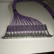 Molex Patch Panel Krosowy 24 Porty Gniazdo 6 STP DG DataGate 