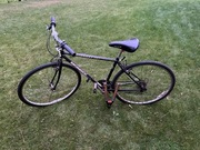 Rower Mongoose   