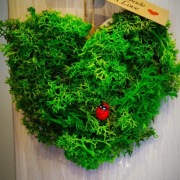 Zawieszki i ramki z kwiatami i mchem na prezent