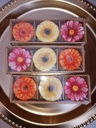 Zestaw 3 sztuki kwiatki z terakoty