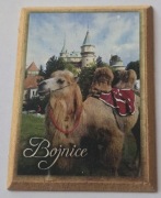 Magnes na lodówkę drewniany BOJNICE (2K).