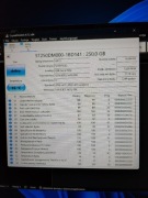 dysk twardy 250gb 3.5 sprawny #t38