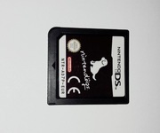 gra NintenDogs  DS nintendo