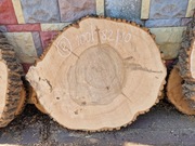 2 JESION 100/82/10 cm Blat Plaster Drewna Stolik Żywica Epoxy DIY Live Edge