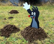 Krecik z drewna do ogrodu 