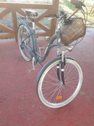 Rower miejski Indiana damski