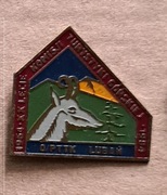 XX LECIE KOMISJI TURYSTYKI GÓRSKIEJ LUBAŃ - odznaka PTTK