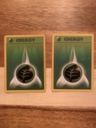 Karta Pokemon Energy Grass 99/102