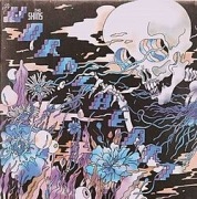 THE SHINS - The Worms Heart