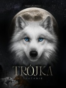 Książka Trójka tom 2 - Skazanie