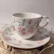 Johnson Brothers filiżanka i spodek Richmond Hill