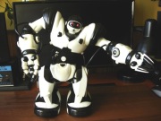Robot WowWee Robosapien. Niepełnosprawny, opis!