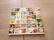 PEARL JAM - NO CODE CD