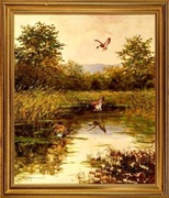 Georg Majewicz . Kaczki  nad stawem 