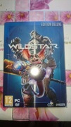 Steelbook Wildstar 