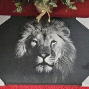 Obraz na ścianę LEW 28x38cm