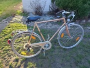 Rower Hercules Special-Rohr X3 