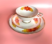 Filiżanka i talerzyki: Eschenbach Bavaria-Germany. Uzupełnij swój serwis