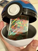 Pokémon TCG Great Ball + 120 kart BULK | 20 holo | 1 ex | 1 Secret Rare