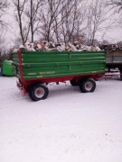 Drewno, drzewo opałowe, kominkowe. Opał