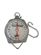 Waga zegarowa wisząca z hakiem do 100kg