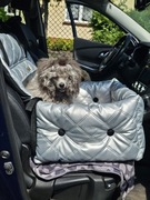 Fotelik, transporter samochodowy dla psa.