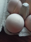 Jajka własną nadwyżka