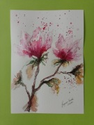 Obrazek z gałązką kwitnącej magnolii.