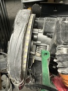 żyrafa hagen TTD-OW5v750