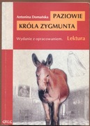 Paziowie Króla Zygmunta z opracowanie- A. Domańska
