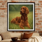 Irlandzki Setter w plenerze - portret - plakat 50x50cm