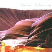 Diorama cd Her Liquid Arms  darkwave ebm  rewelacja folia