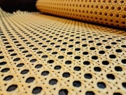 Plecionka wiedeńska, yellow color