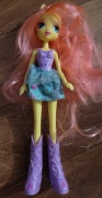 Fluttershy Equestria Girls